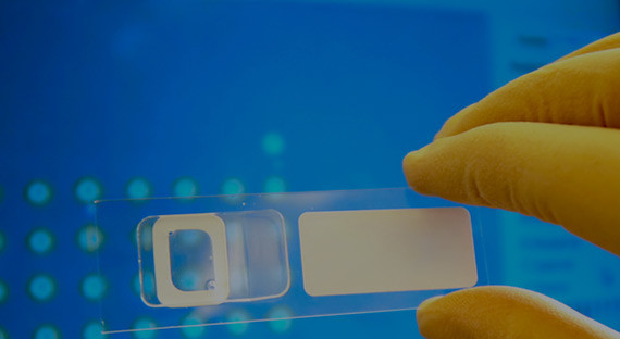 Les plastiques médicaux plus biocompatibles et aseptisés